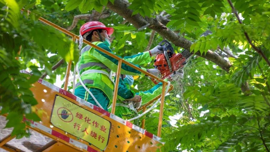 松原城市綠化養護技術規范及等級標準