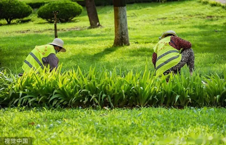 壽陽縣河道綠化工程