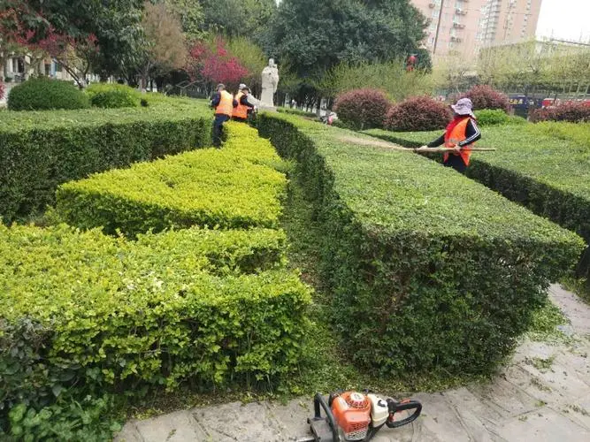 風景園林管理難題浮現：城市擴張對自然資源的壓力